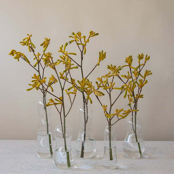 Hado Clear Bloom Vase Set With Flowers