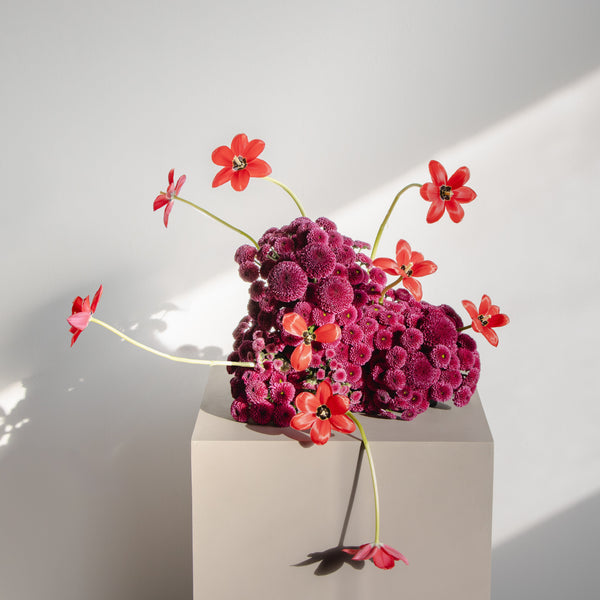 Grandeur Bloom Ensemble – Scarlet Harmony