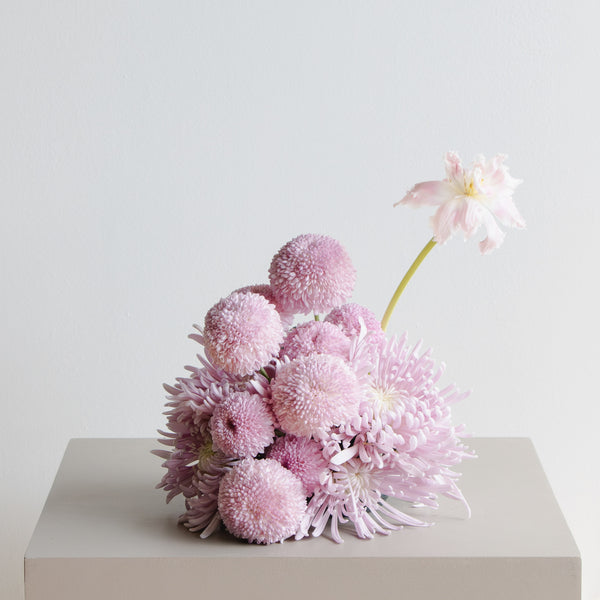 Blush Harmony Arrangement