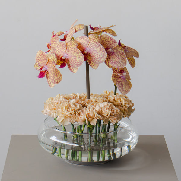 Blushed Elegance Arrangement