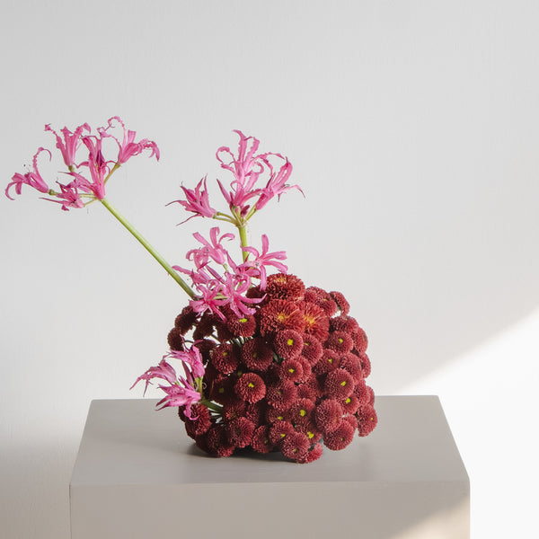 Aurora Grande Arrangement