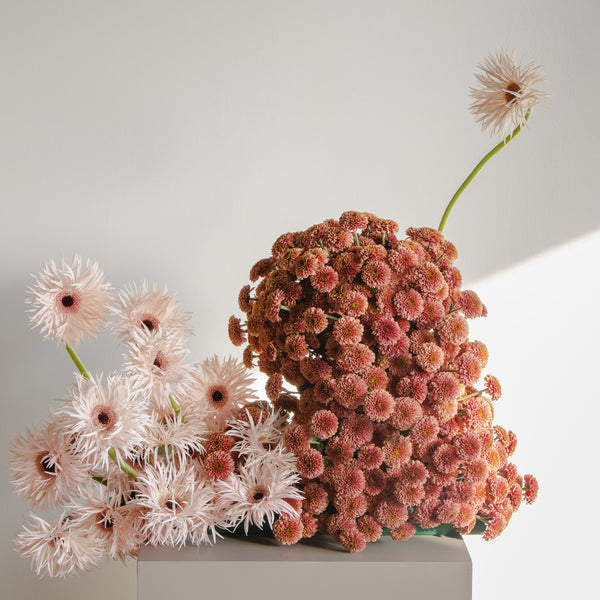 Maison Fleur Ensemble – X-Large