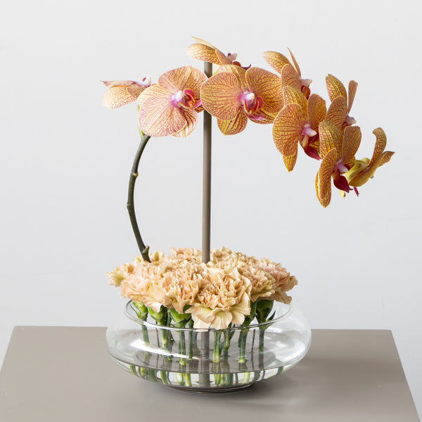 Whispered Petals in Taupe Vase