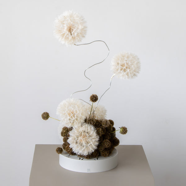 Whimsy Halo Display
