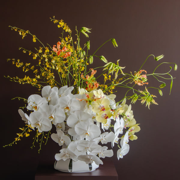 Shibui Grande Showcase – Gloriosa & Orchid