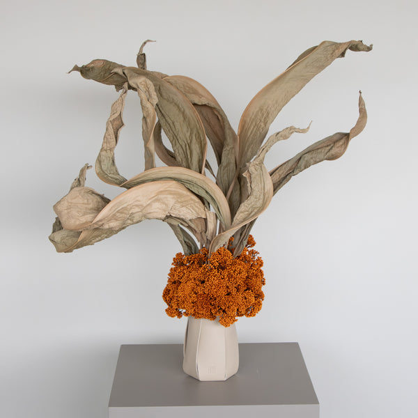 Strelitzia Ore Arrangement