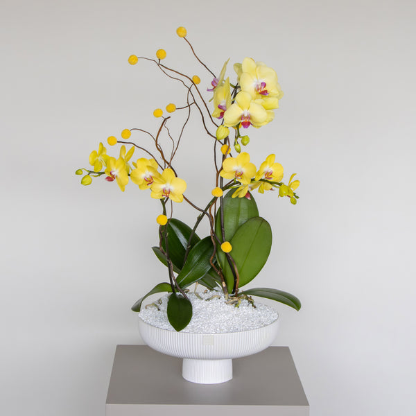 Golden Orchid Bowl