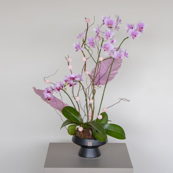 Magnolia Orchid Harmony