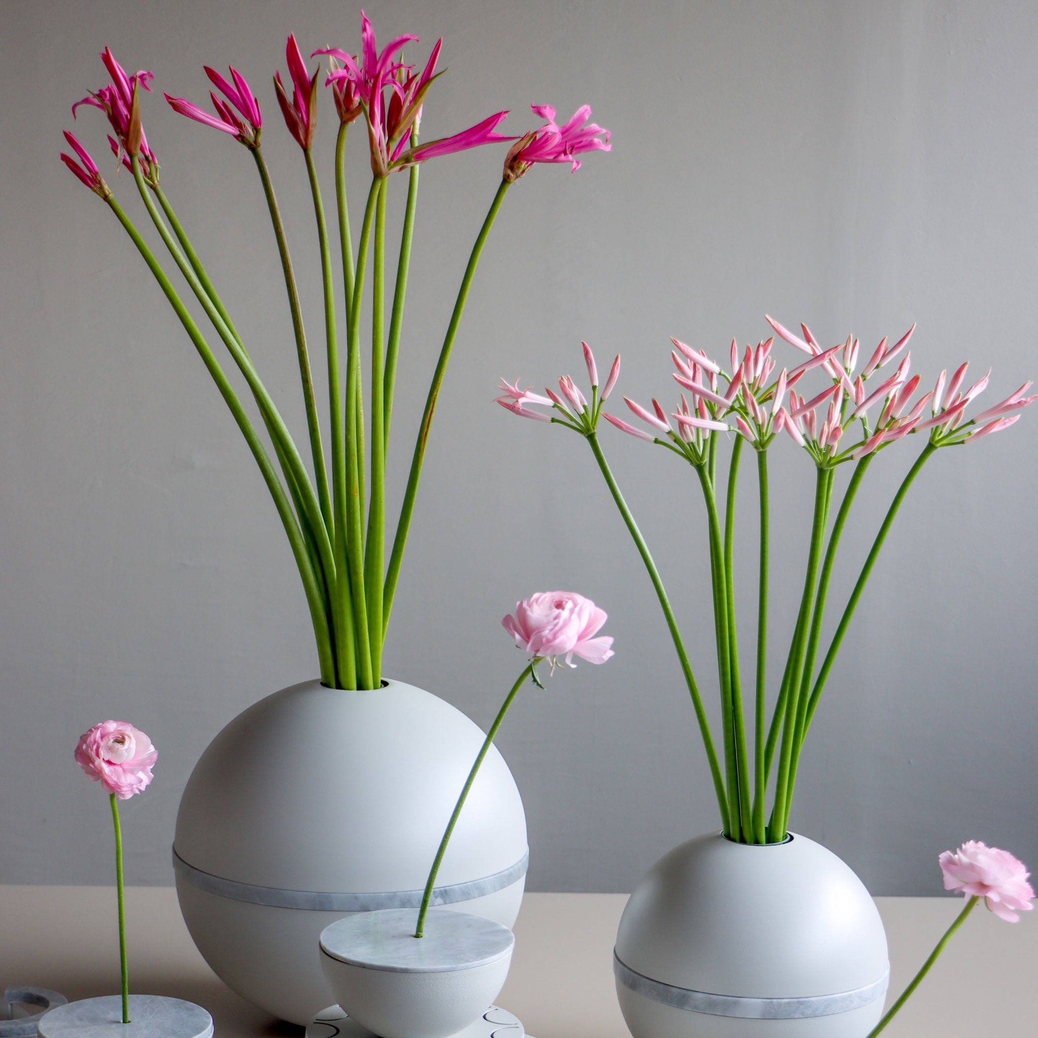 Nerine Panoply Large Sphere