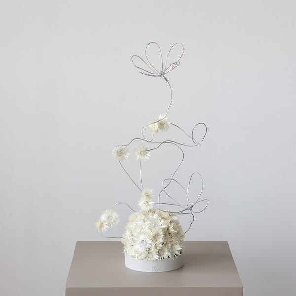 Blush Meadow Stand
