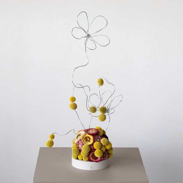 Amber Bloom Capsule