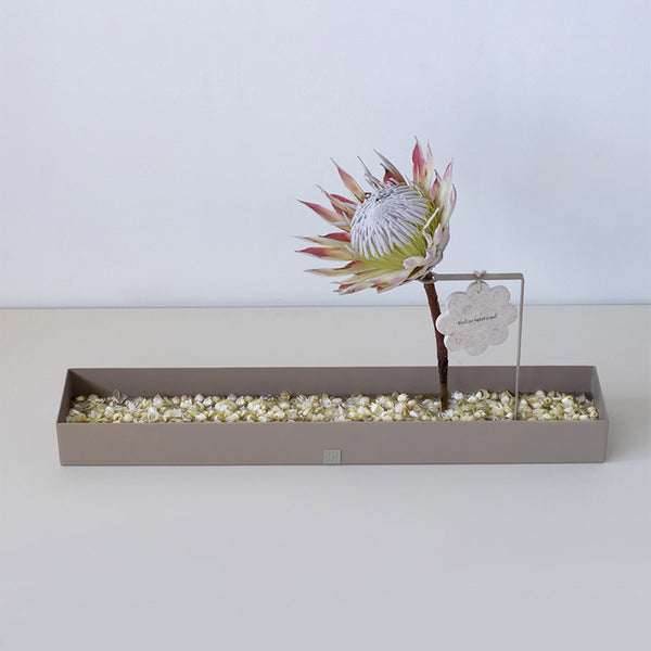 Niwa Jasmine & Protea King – Small