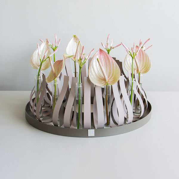 Graceful Display Tray