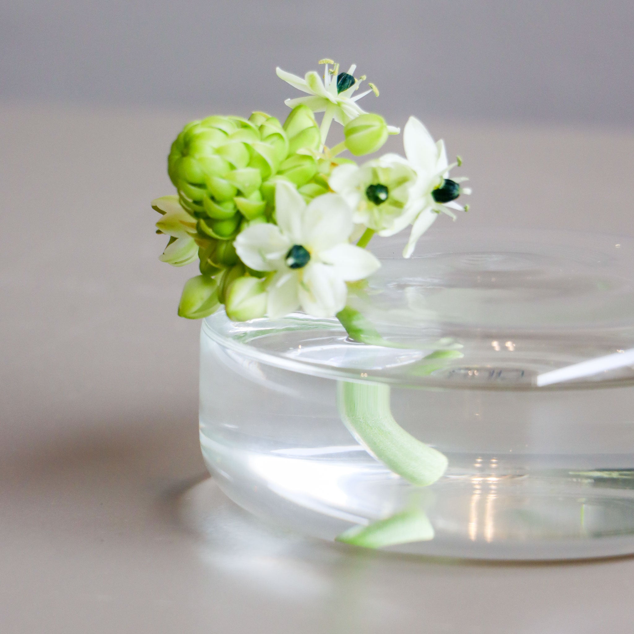 Ornit Hoop Bloom Vase-W