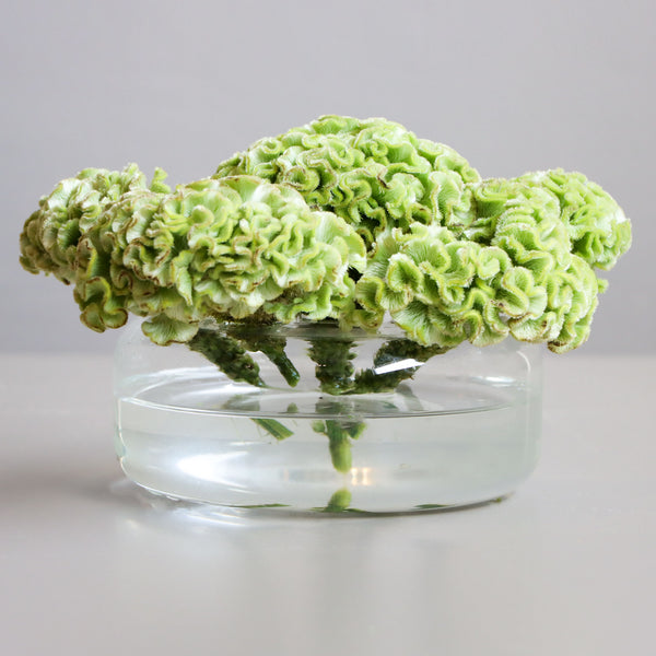 Celosia Hoop Bloom Vase-M