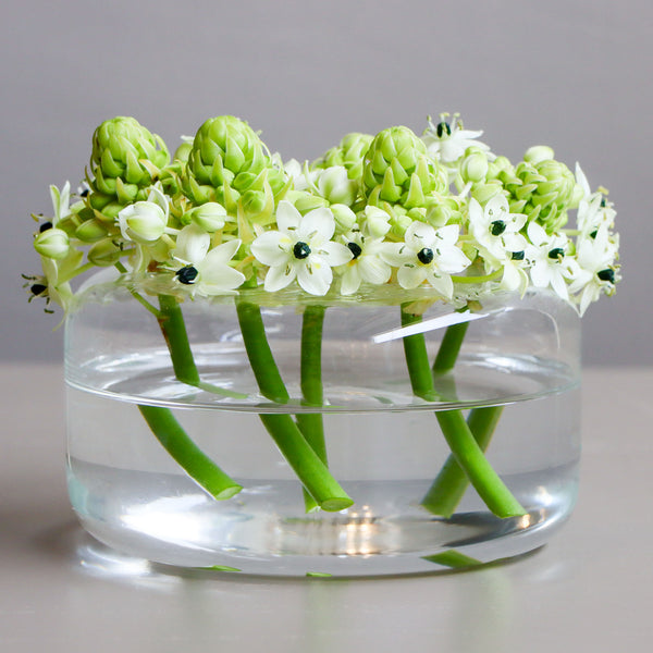 Ornit Hoop Bloom Vase-L