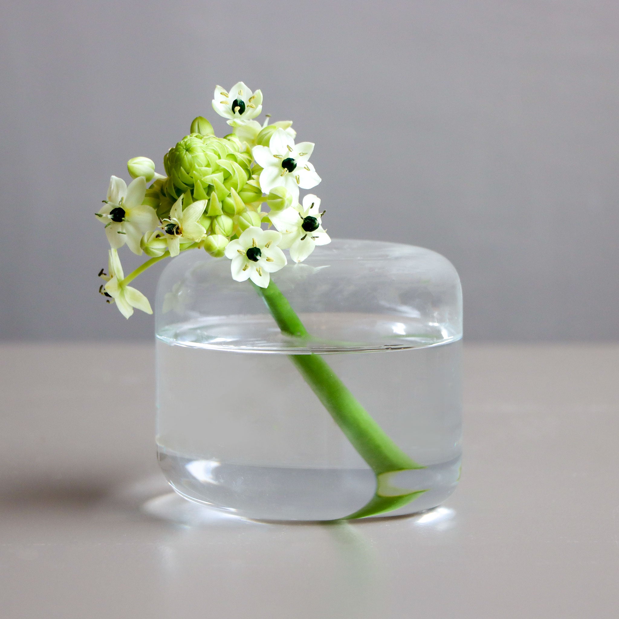 Ornit Hoop Bloom Vase-T