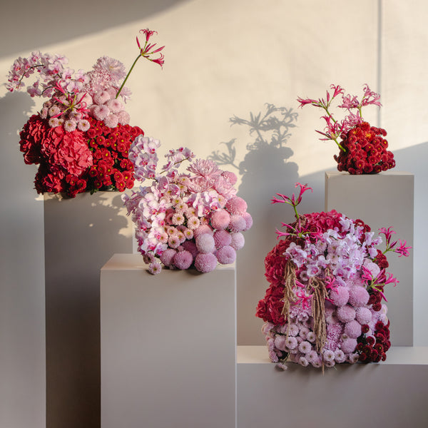 Aurora Grande Arrangement
