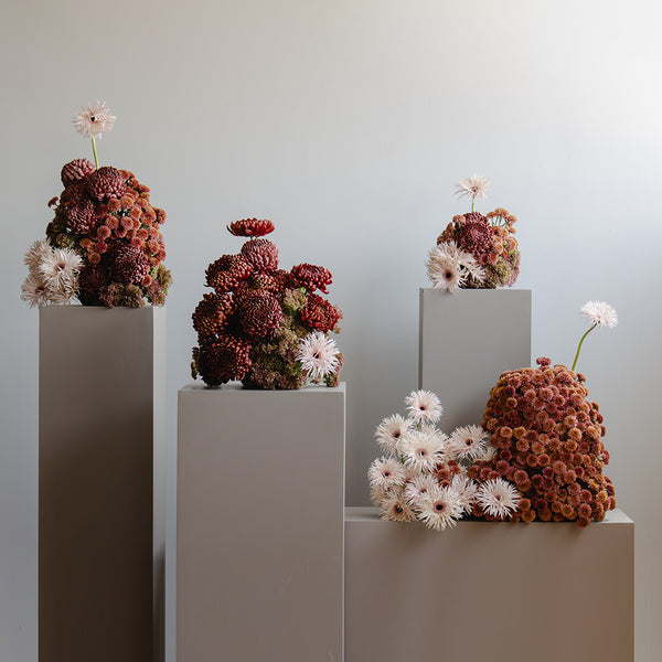 Floral Harmony Arrangement