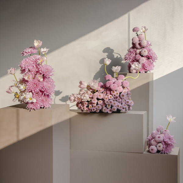 Blush Harmony Arrangement