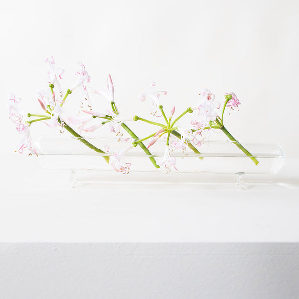 Flu Four Bloom Clear Vase