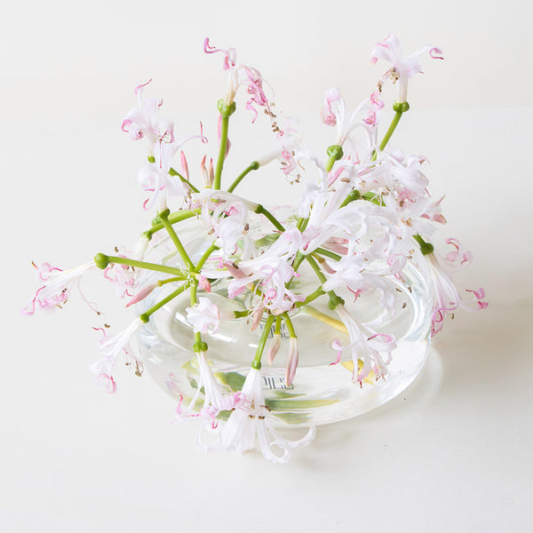 Five Hoop Bloom Vase