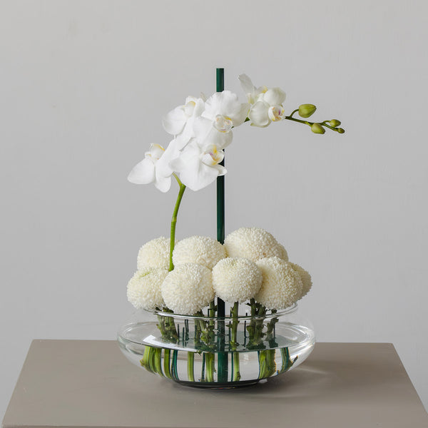 Orchid Harmony in Stem Vase